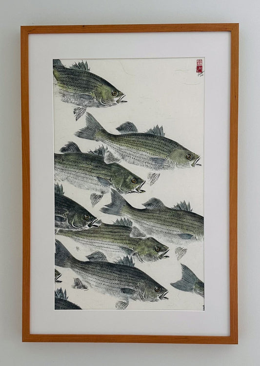 Striped Bass School - 24in x 36in